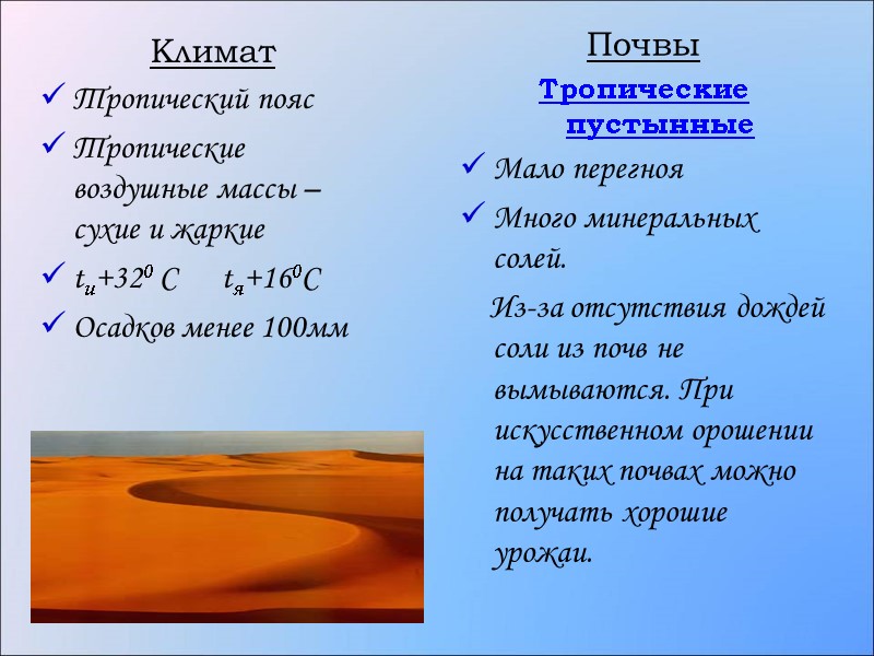 Климат Тропический пояс Тропические воздушные массы – сухие и жаркие  tи+320 С 